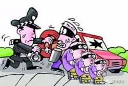 进贤盗窃学生爆料案件最新,警方全力追查，受害者发声揭露真相